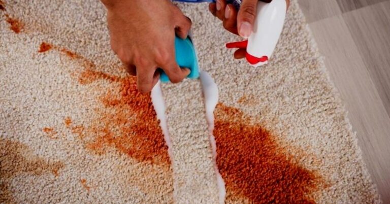 Carpet Shampoo
